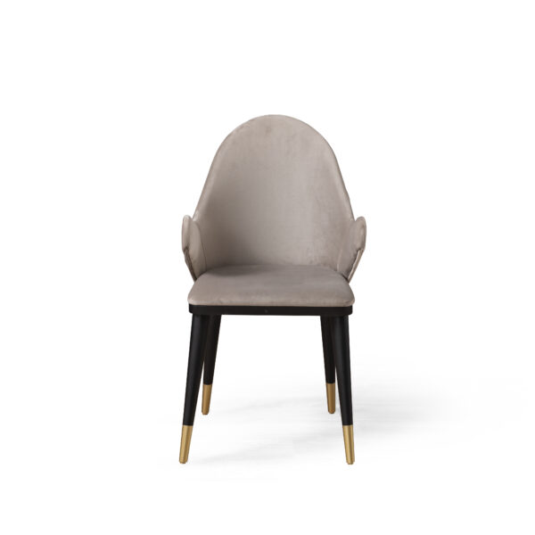 Tesla 4 Sandalye ve Benç Ekru Gold