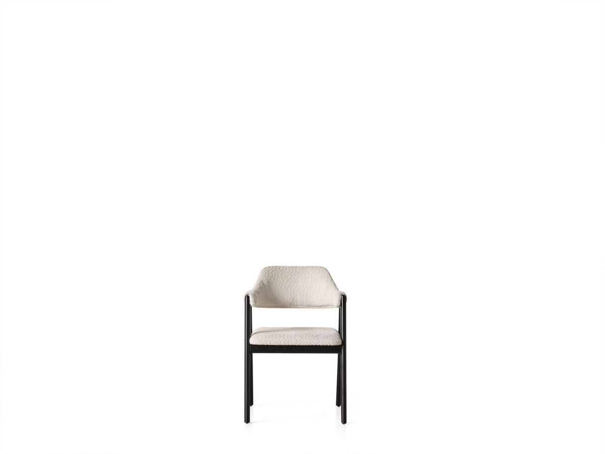 Akra Sandalyeler 2 Adet Kollu - Image 1