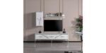 Asel Tv ÜNİTESİ