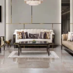 Aslan Koltuk Takımı