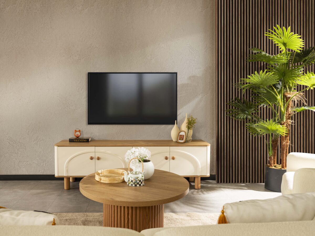 Coco Tv ÜNİTESİ - Image 2