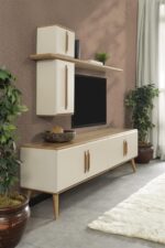 Liza Tv ÜNİTESİ - Görsel 6